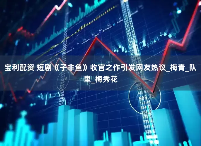 宝利配资 短剧《子非鱼》收官之作引发网友热议_梅青_队里_梅秀花