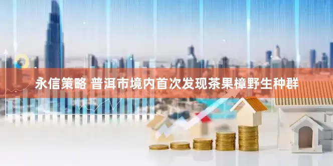 永信策略 普洱市境内首次发现茶果樟野生种群